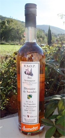 Bas armagnac vsop 42